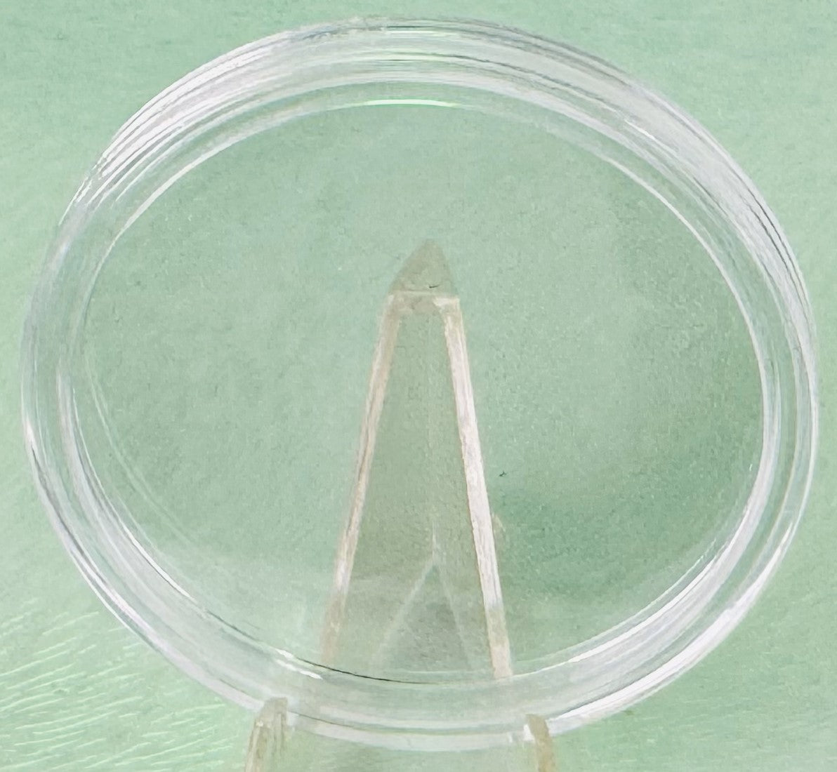 2011 24K Gold Plated AMERICAN GOLD BUFFALO Indian Head Coin * Free Capsule