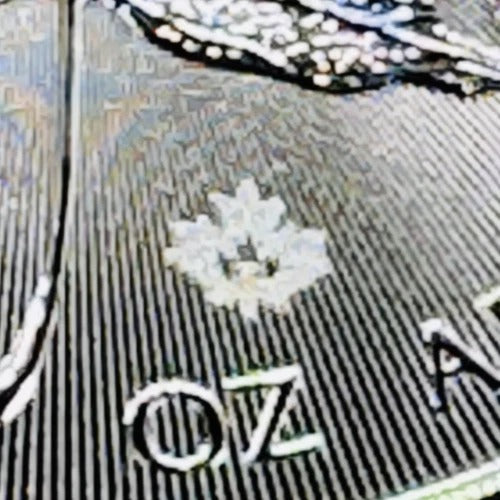 2020 Canada Silver Maple Leaf Reverse Proof * Maple Leaf Privy * Plus Free Capsule