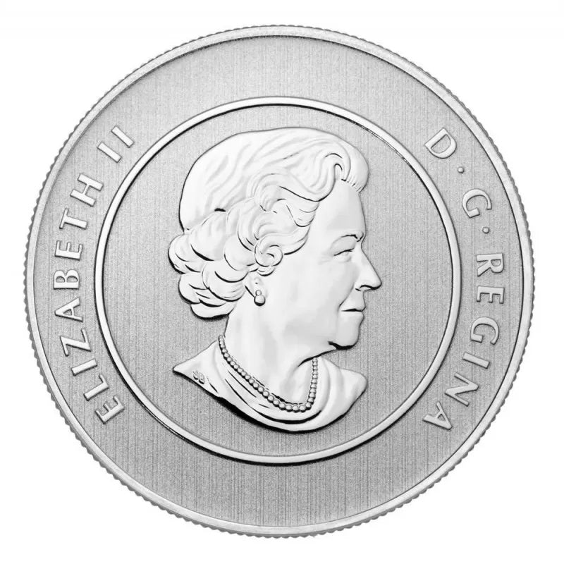 2012 Canada $20 Polar Bear Coin * BU .9999 Fine Silver * Free Capsule Included