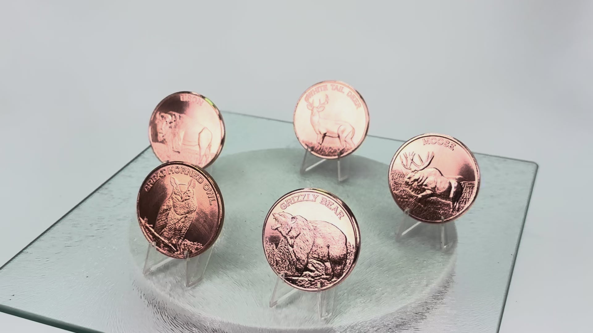 Copper Art Coins * North American Wildlife Series * 5-Piece Set * Minted in USA
